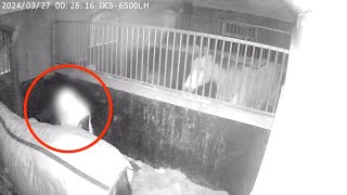 Forgrep Seg På Hesten