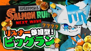 【サーモンラン】スメーシーに戻ってきたぞ！【銀猫様】