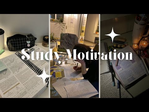 Study motivation for you 💯📚| Tiktok compilation #8