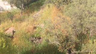 Mexico -San Miguel Allende - Guanajuanto - La Palmita 3000 Mts2