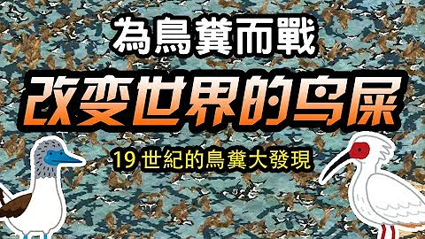 为鸟粪而战-改变世界的鸟屎-19世纪的鸟粪大发现 - 天天要闻