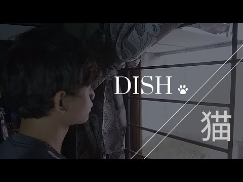 Dish  // Neko 猫 (unofficial music video)