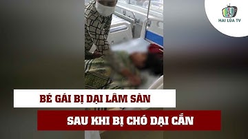 BÉ GÁI SỦA, RƯỢT CẮN NGƯỜI SAU KHI BỊ CHÓ DẠI CẮN | Tin Tức Miền Tây