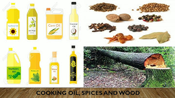 Class 3 ।। EVS ।। Chapter- 5 Plants around us ।।