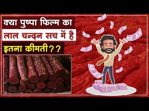 लाल चन्दन और इसकी खेती से जुडी ज़रूरी बातें!  #pushpa #LalChandan - लाल चन्दन और इसकी खेती से जुडी ज़रूरी बातें!  #pushpa #LalChandan
