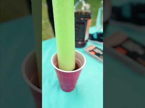 Largest Straw #Save #crazy #deals
