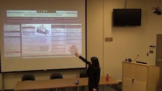 Pilot and Feasibility Studies in Rehabilitation Research