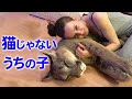 家族になったのは動物園で生まれたピューマ。まるで「大きな猫」のように育っていきました。