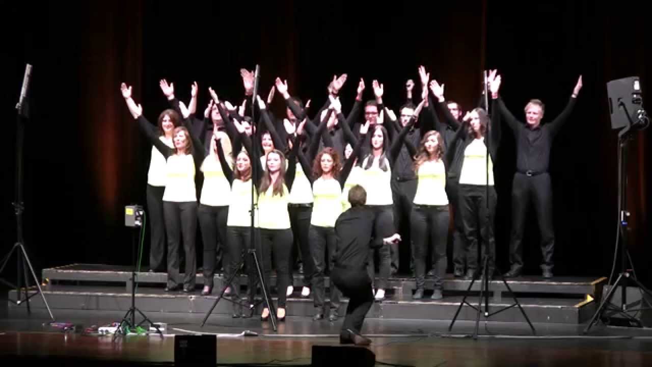 SWR Chorduell 2014 Schwäbisch Gmünd, Stadtgarten: One moment in time: Chor Voice of Music