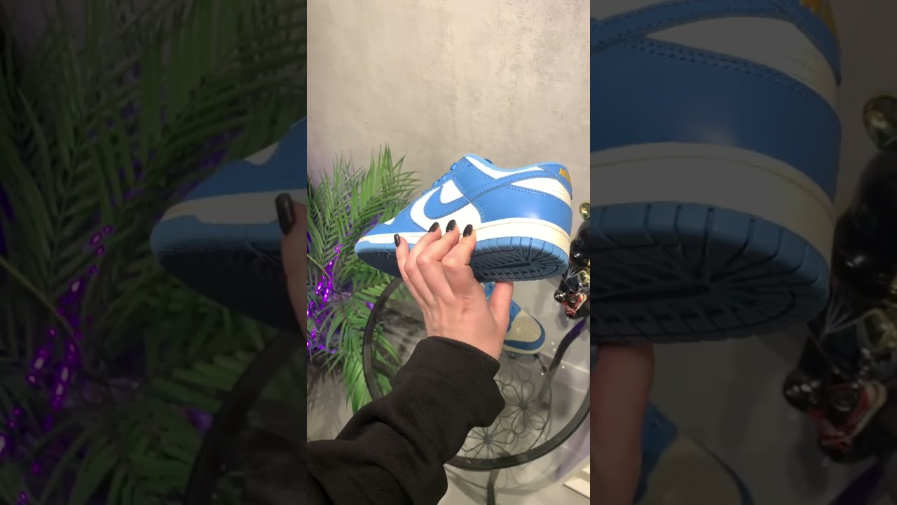 Nike Dunk Low “Coast”