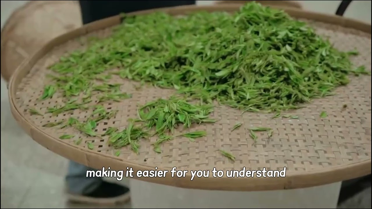 The Secret Behind Fuding White Tea | Handpicked & Expertly Crafted