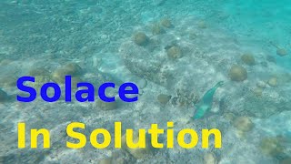 Solace In Solution | Relaxation | Peaceplace | Snorkeling | Tropical Fish | Ocean Life | Bonaire