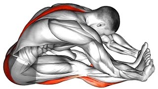 5-Minute Daily Stretch Routine That Boosts Performance 10X