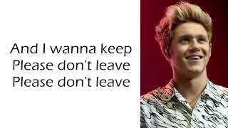 Niall Horan - Flicker (Lyrics) Resimi