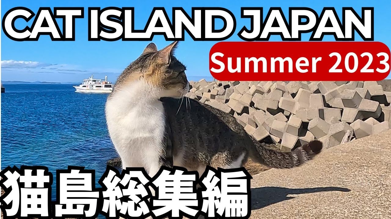 Summer.2023 CAT ISLAND JAPAN 2HOURS|2023年夏に出会った猫島の猫たち