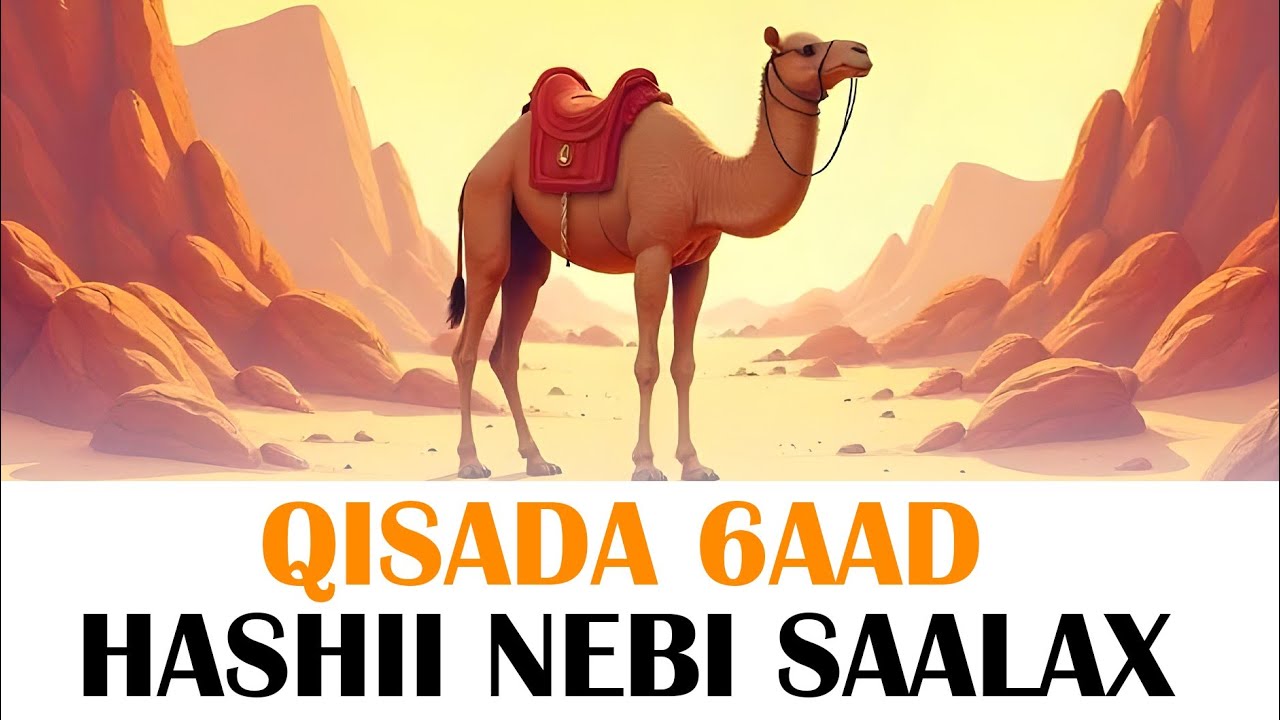 HASHII NEBI SAALAX | Qeybta 6aad ee taxanaha qisooyinka qur'aanka bisha ramadaan.
