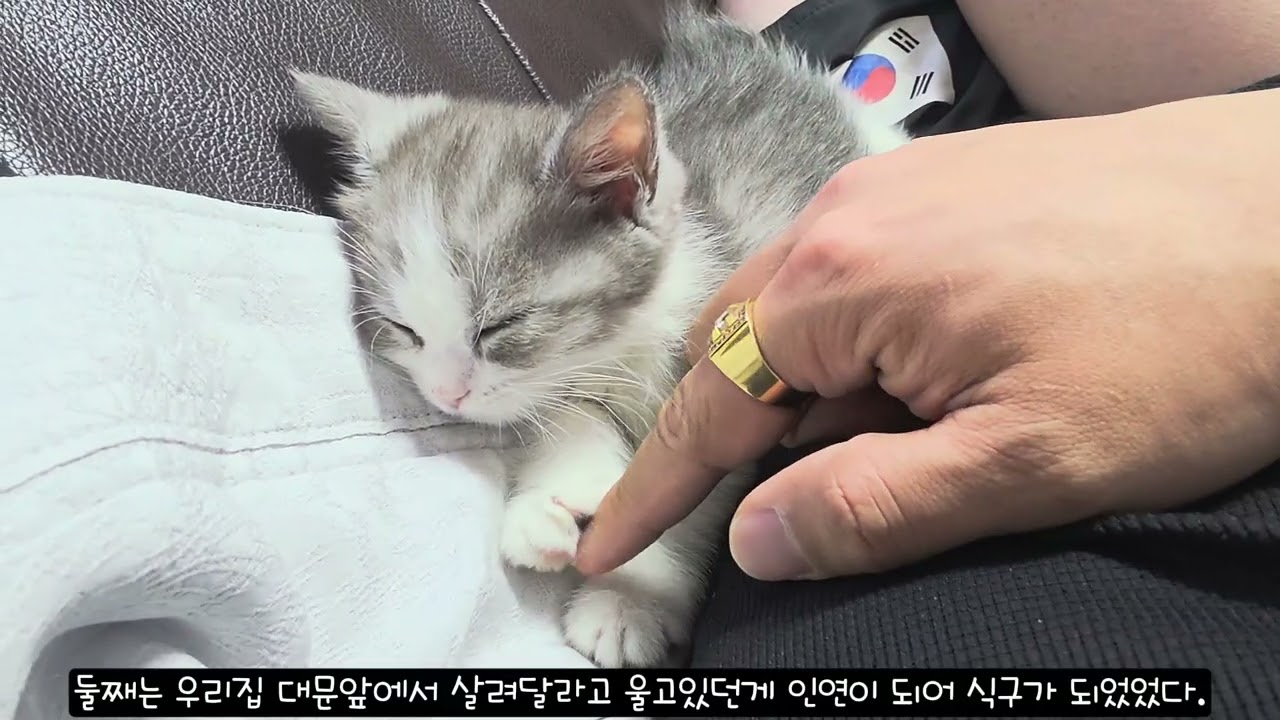 식구가 되던 날