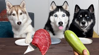 Husky Reaction To Vegetables And Meat Dogs Tasting Food