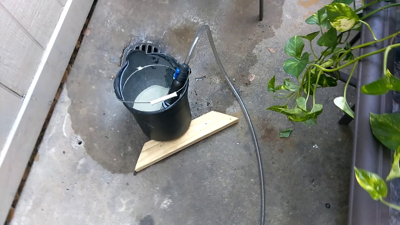 How to clean crushed coral YouTube