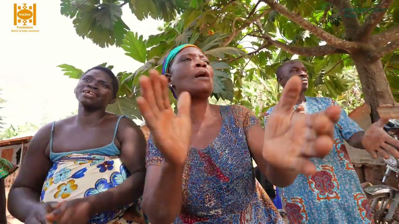Effets du Bokashi sur les cultures maraîchères et céréalières au Togo (INADES Formation Togo)