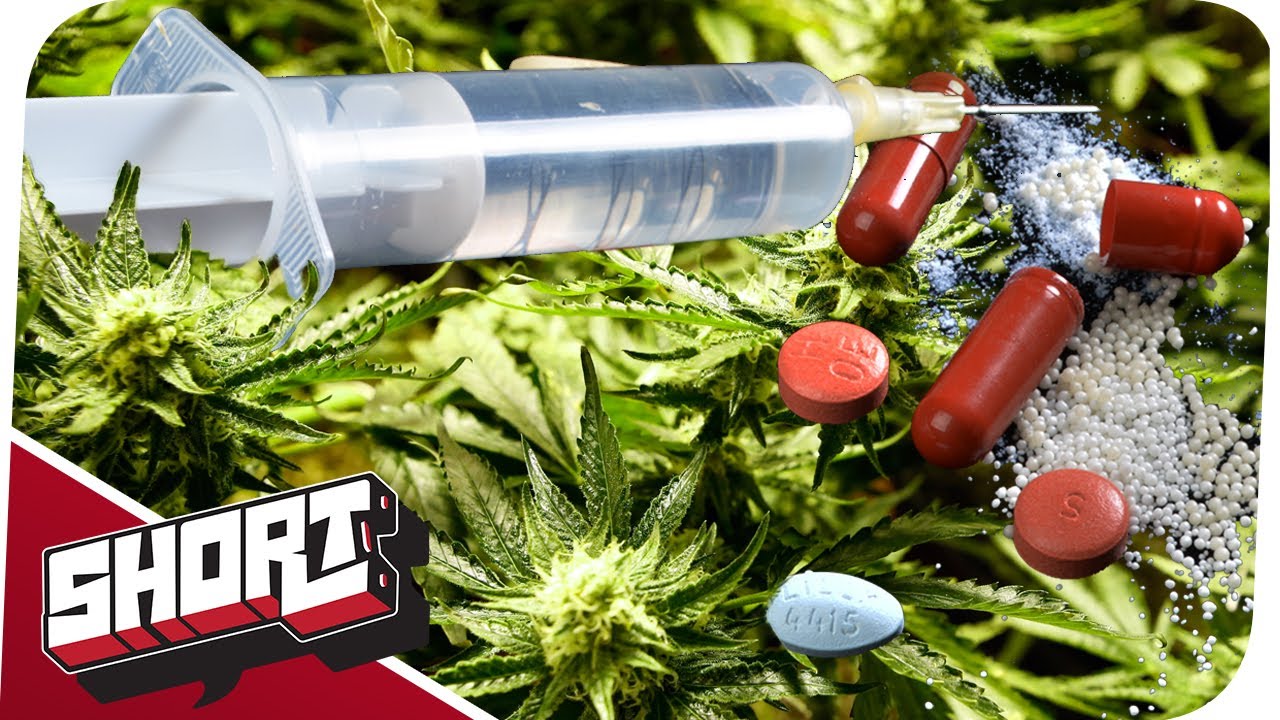 Sollten Drogen legal sein?