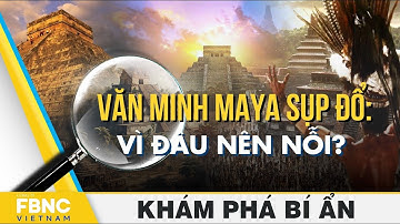 Văn minh Maya sụp đổ: Vì đâu nên nỗi? | Khám phá bí ẩn | FBNC