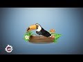 2mn pour comprendre le toucan