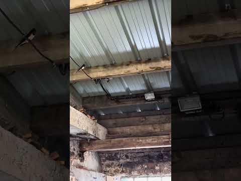 Retour de mes hirondelles!!!👍😊😊😘