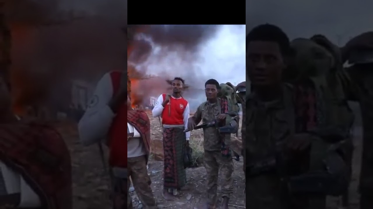 tdf celebration 3rd year anniversary 