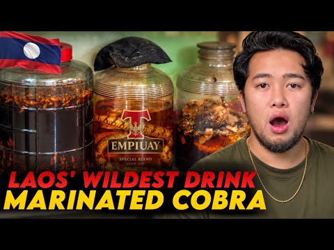 THEY LIKE TO DRINK THIS HERE IN LAOS 🇱🇦 (ADVENTURE TO LUANG PRABANG)