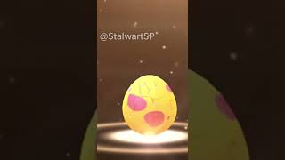 Got Rarest Hatch In 7Km Egg