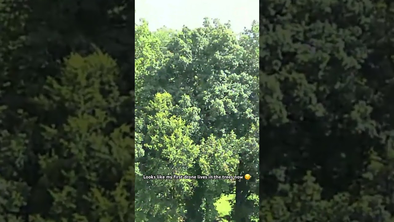 Testing the Nafyre N11 PRO GPS Drone with Camera for Adults 4K UHD…does not go as planned.