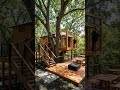 This Treehouse Transformation Is Next Level! 🤯 (AI)