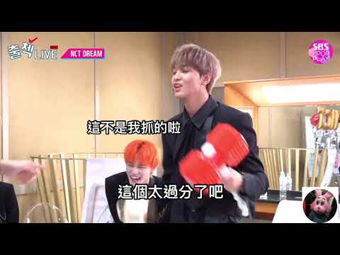 [NCT DREAM中字]什麼都想拿什麼都能擋的李楷燦 (feat. 諧星娜)