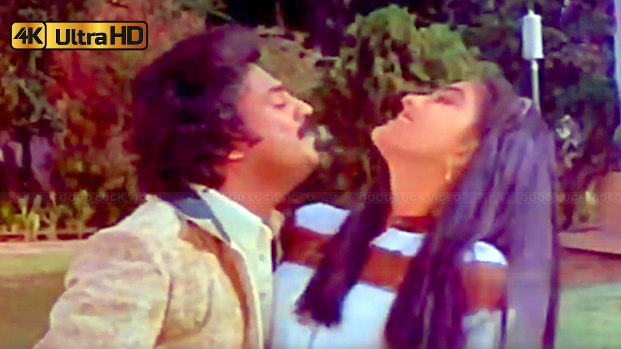 பட்டு சட்டை பாடல் | Pattu Chattai Song | Malaysia Vasudevan, P. Susheela | Vai Pandal .