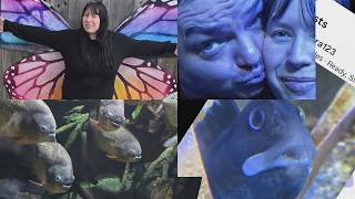 #Vlog Date day  Spend the day with me.. Sealife Southend ..