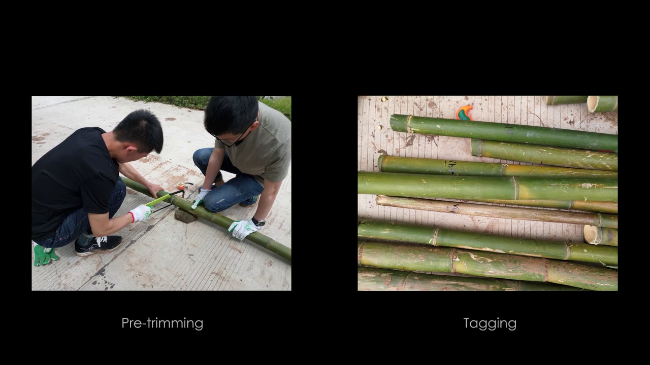 Hyperbolic Paraboloids Bamboo Pavilion - YouTube