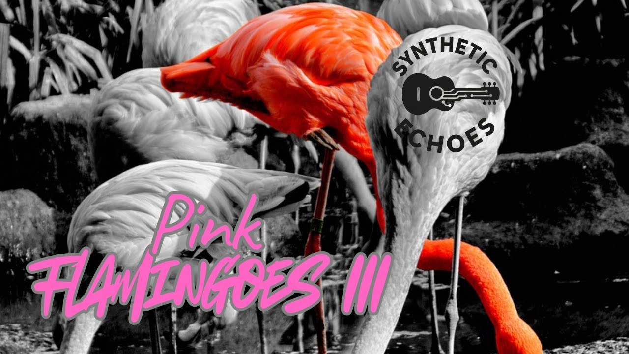 Pink Flamingoes III — AI Music — Based on an original song