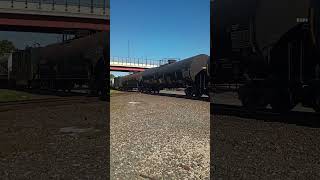 NS 170 hits the track crossing in alliance ohio 