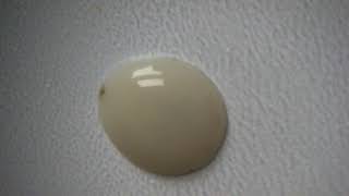 Seven reactions of silver ions in a puddle