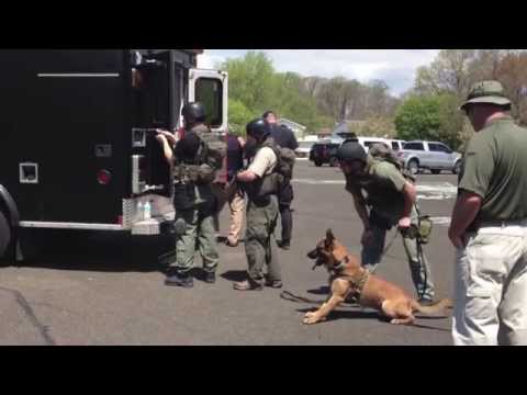 Decoy For Hire  K9 Unlimited