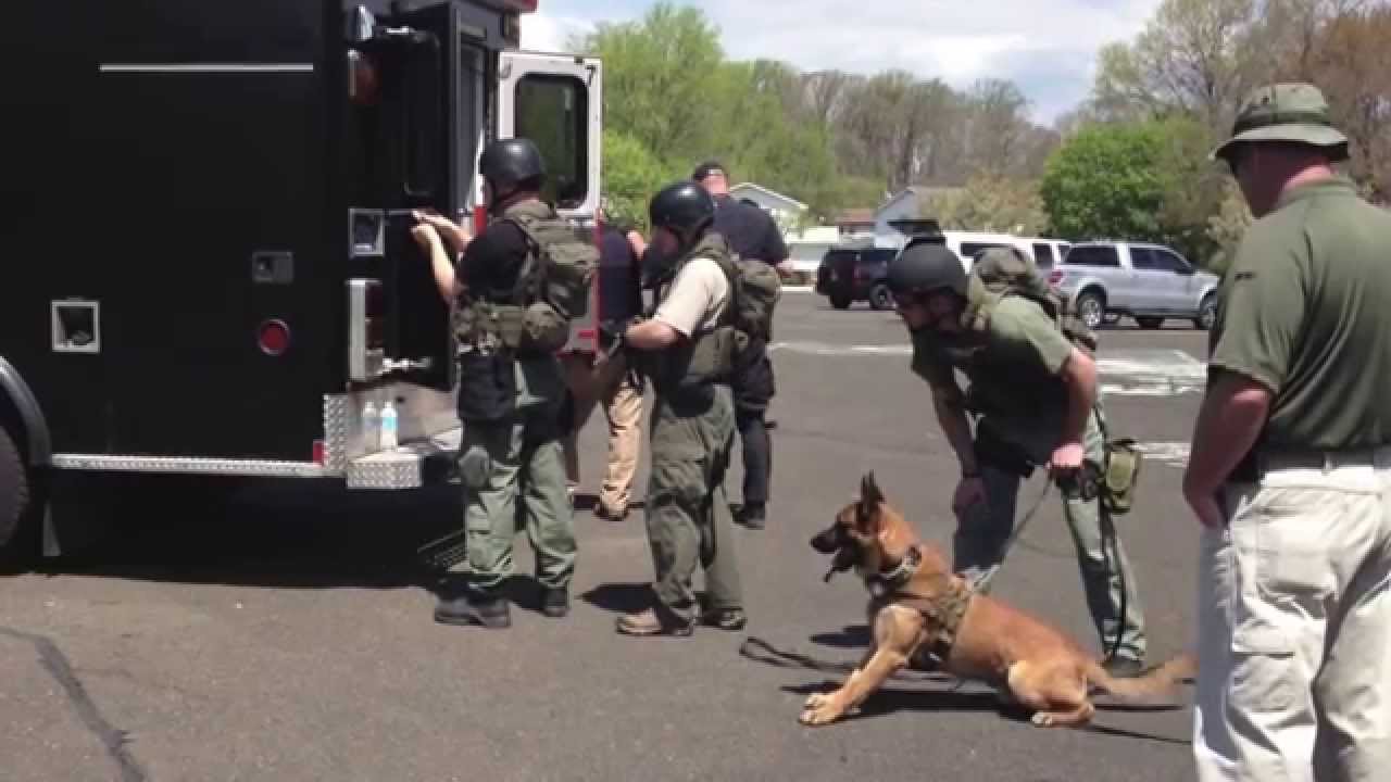 Decoy For Hire K9 Unlimited YouTube