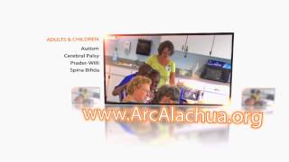 The Arc Mission Summary - 2013