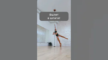 6 фишек Pole Exotic.