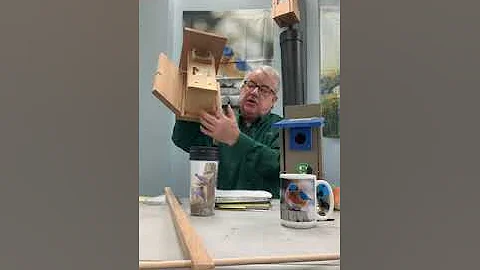 Attracting Bluebirds and Tree Swallows