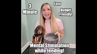 3 Minute EASY Brain Games! 👉 Enrich your dog AT HOME
