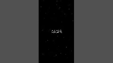 سورة العنكبوت : عبدالرحمن مسعد #القرآن_الكريم #quran #عبدالرحمن_مسعد #سورة_العنكبوت