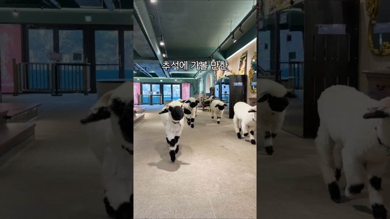 추석에 다녀오기 좋은 카페 모음집🐻