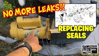 Replacing Seals On Hayward Super Pump (Phillips Vision: Episode - 171)