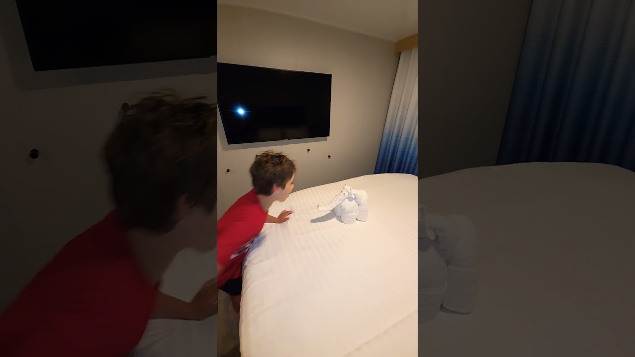 David slaps a towel elephant in slo mo!!! Давид и слоник из полотенца!!!